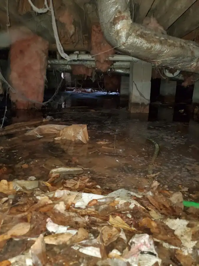Crawl space flood assessment for Leak Detection & Repair in Waco